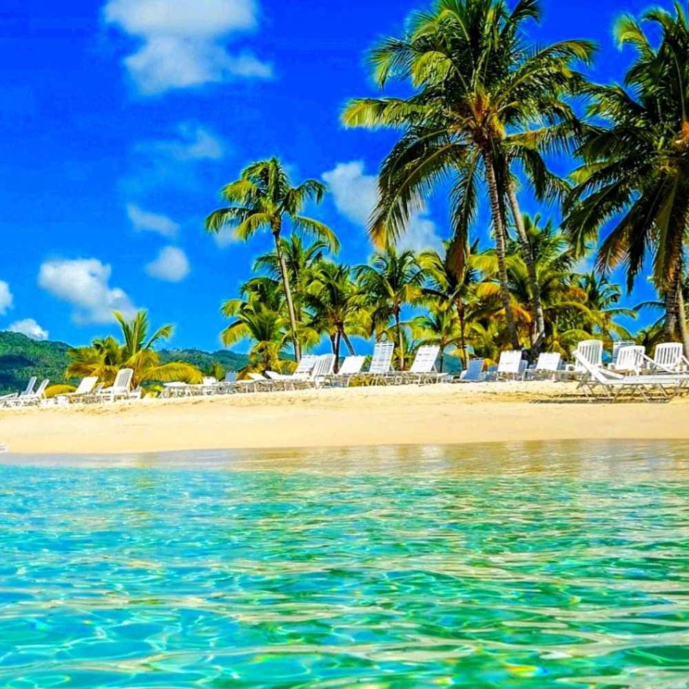 Meet your Posher, CharMarie